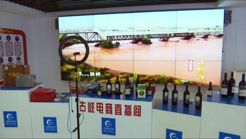 京東集團西北區總部考察青銅峽市電子商務服務，共謀區域數字經濟發展新篇章